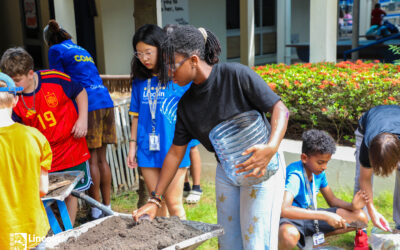 Where Sustainability Meets PHE and Outdoor Learning in Grade 6
